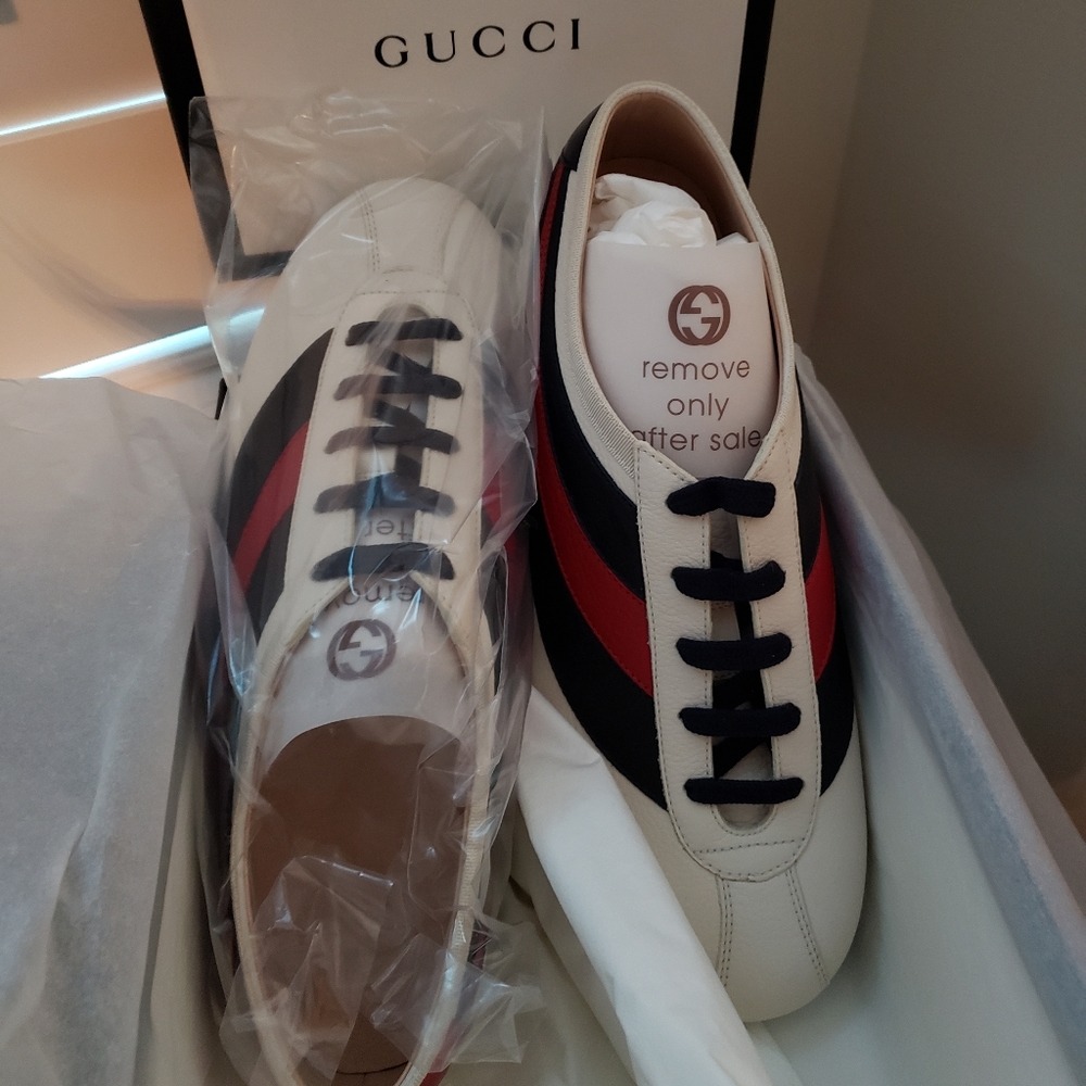 NEW Authentic Gucci Falacer Men Sneakers